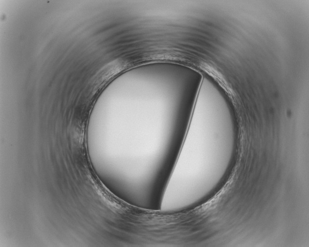 X0000086890841200704161003