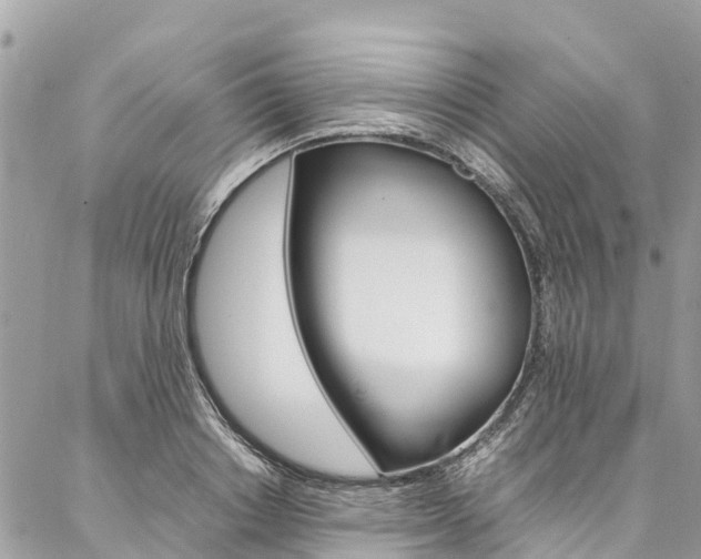 X0000086890842200704161003