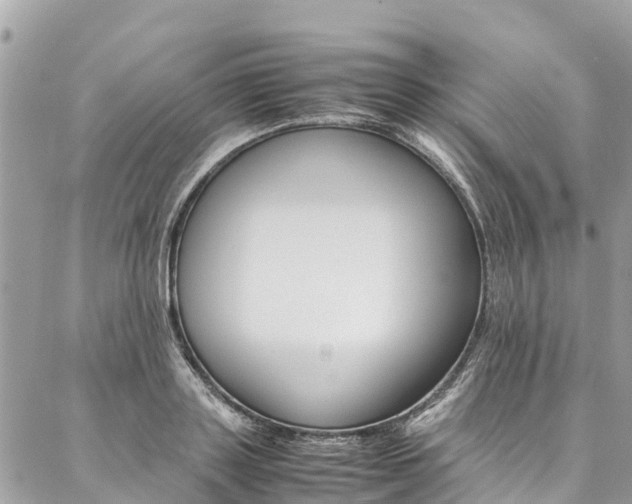 X0000086890843200704161004