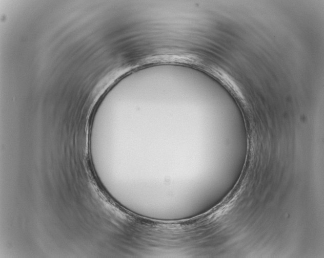 X0000086890844200704161004