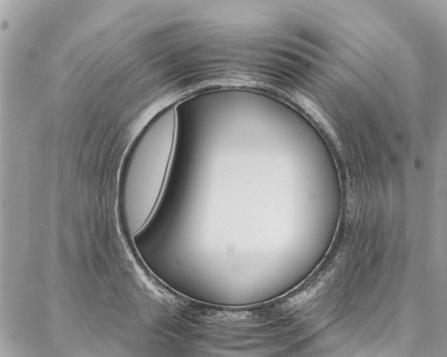 X0000086890845200704161004