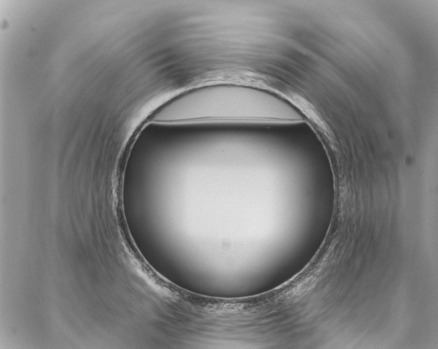 X0000086890846200704161004