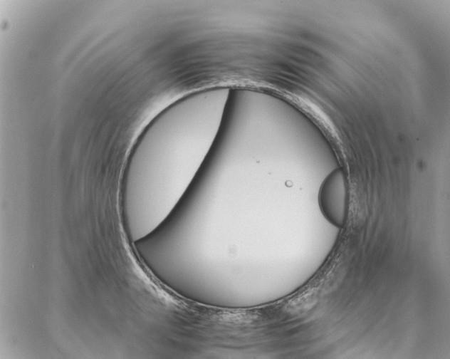 X0000086890847200704161004