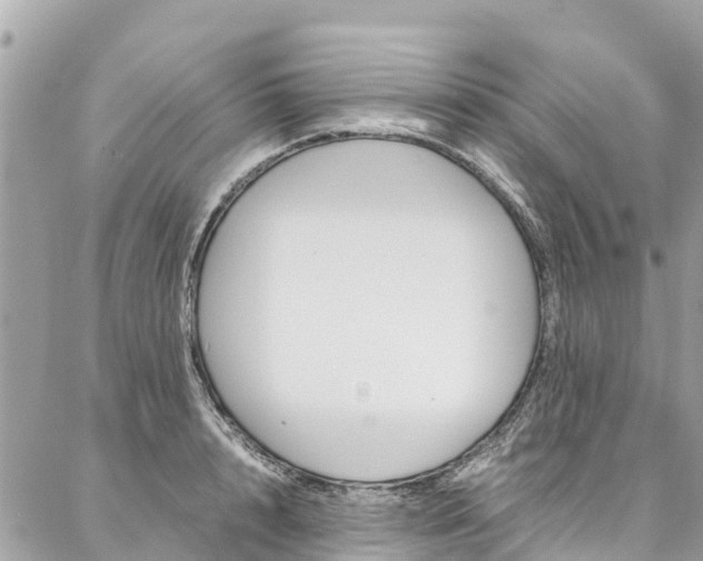 X0000086890848200704161004