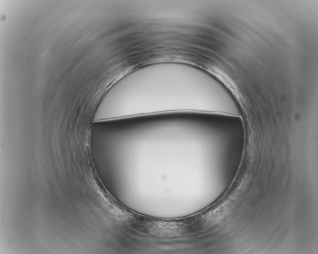 X0000086890849200704161004