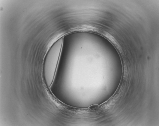 X0000086890850200704161004