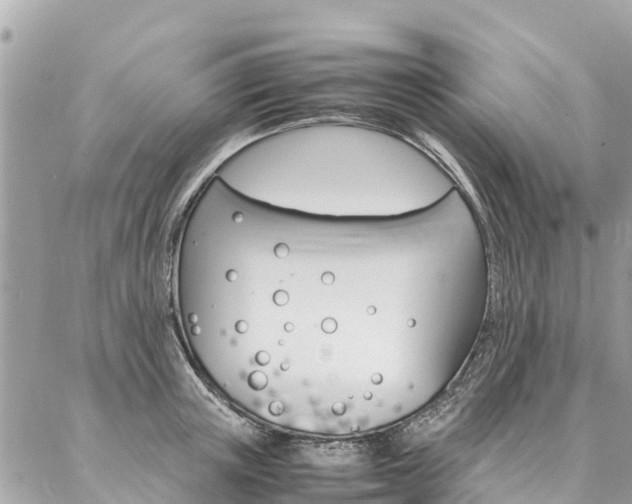 X0000086890851200704161004