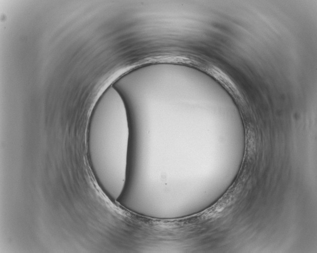 X0000086890852200704161004