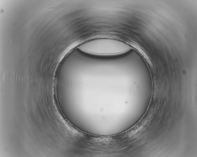 X0000086890853200704161004