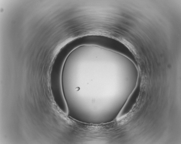 X0000086890854200704161004