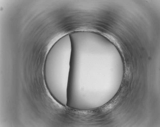 X0000086890855200704161004