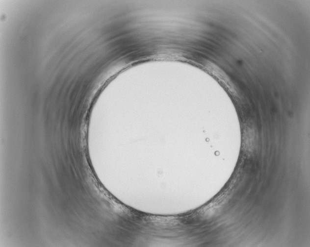 X0000086890856200704161004