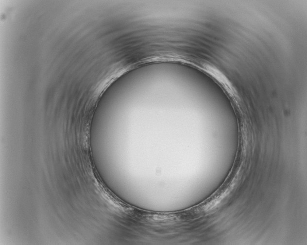 X0000086890857200704161004