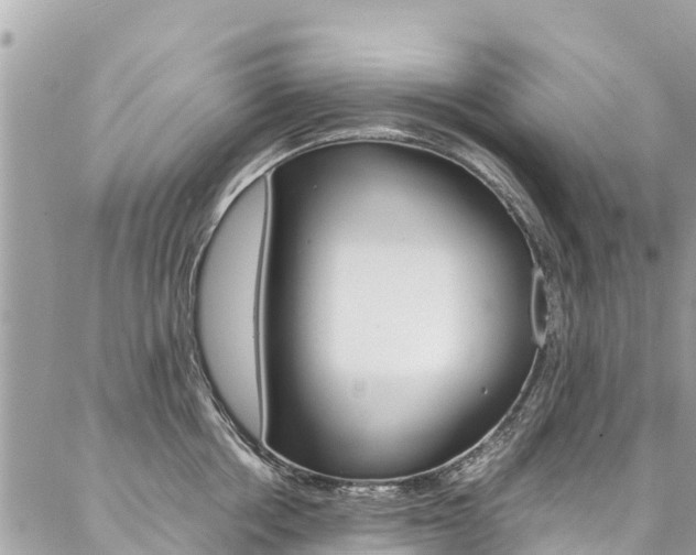 X0000086890858200704161004