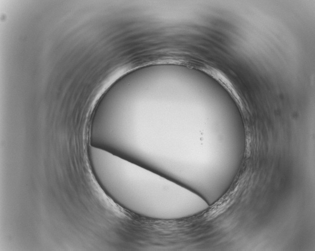 X0000086890859200704161004