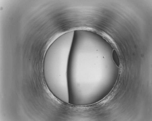 X0000086890860200704161004