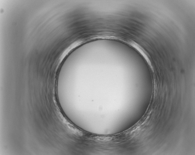 X0000086890861200704161004