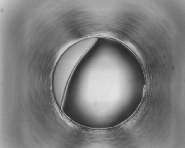 X0000086890862200704161004