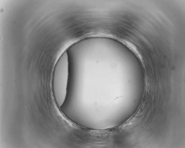 X0000086890863200704161004