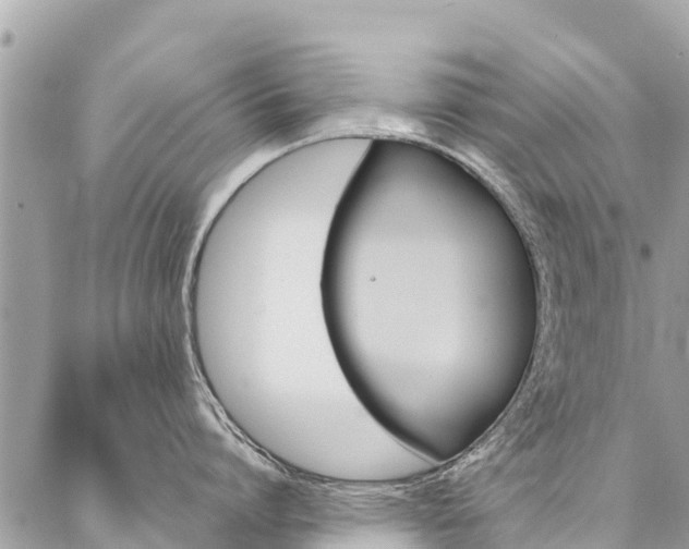 X0000086890864200704161004