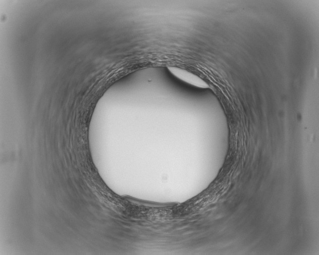 X0000086890865200704161003