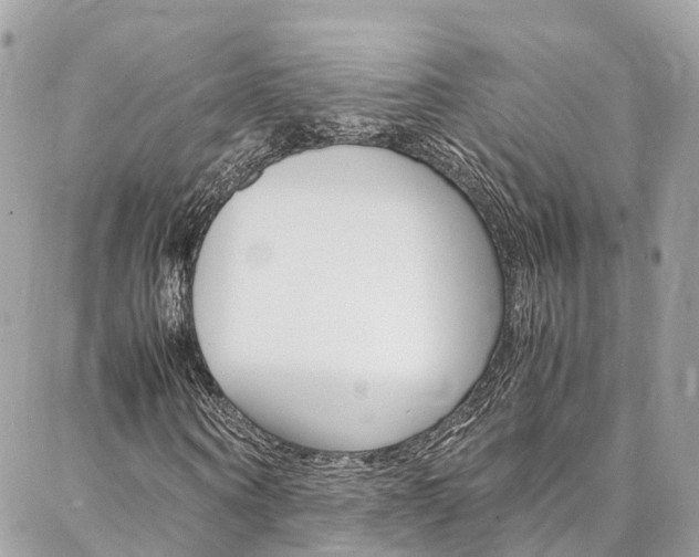 X0000086890866200704161003