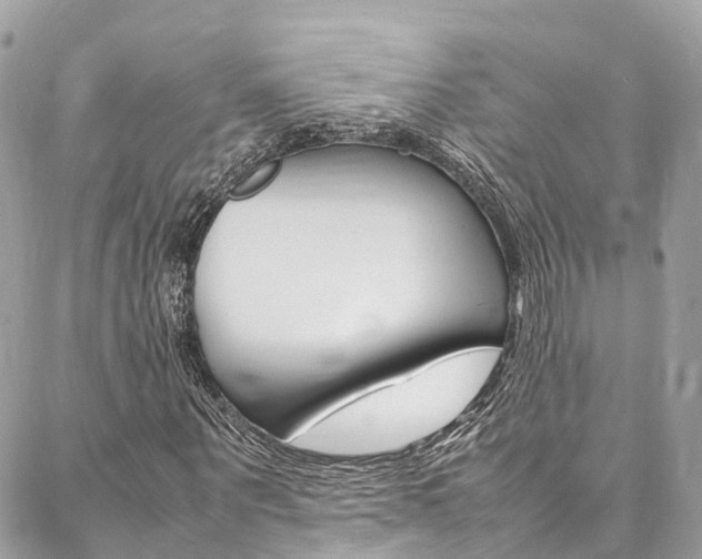 X0000086890867200704161003