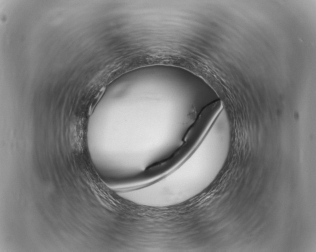 X0000086890868200704161003