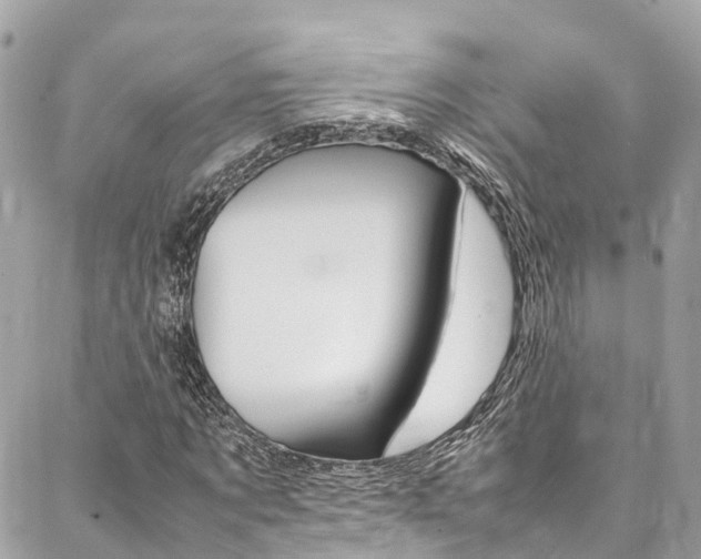 X0000086890869200704161003