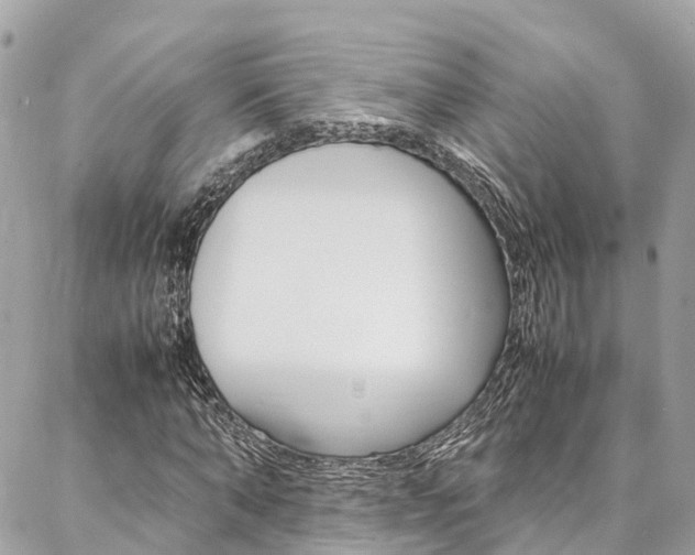 X0000086890870200704161003