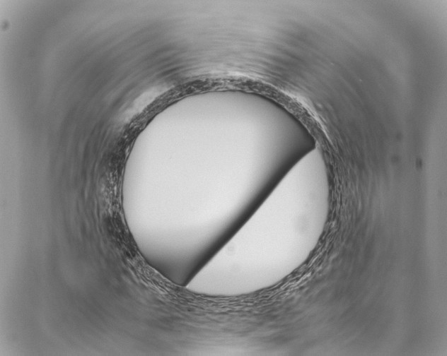 X0000086890871200704161003