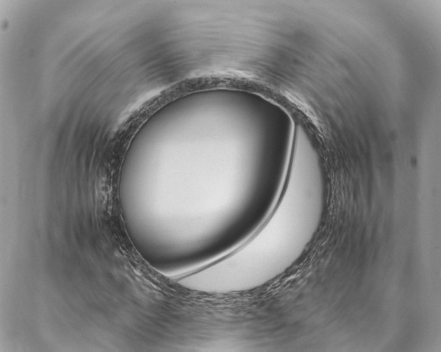 X0000086890872200704161003