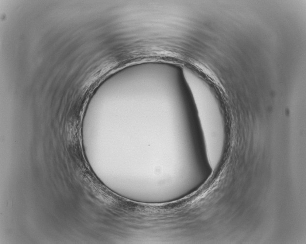 X0000086890873200704161003