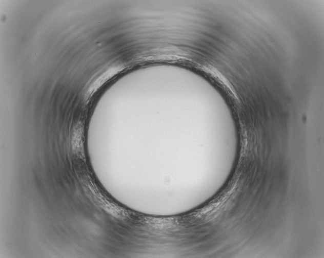 X0000086890874200704161003