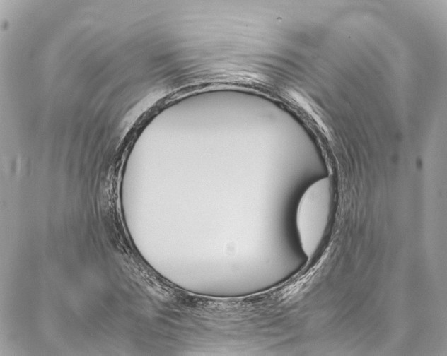 X0000086890875200704161003