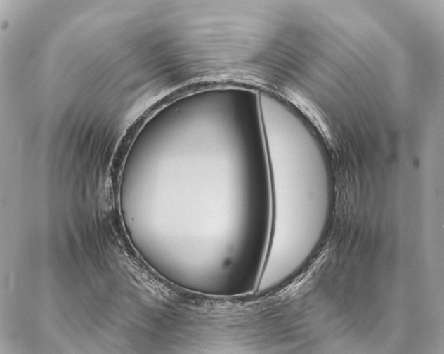 X0000086890876200704161003