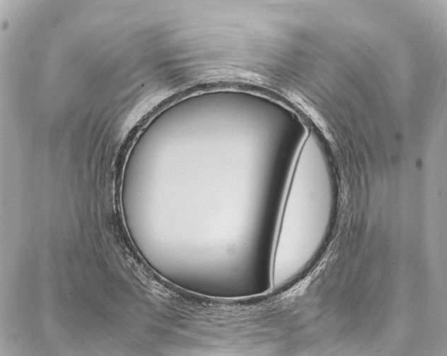 X0000086890877200704161003