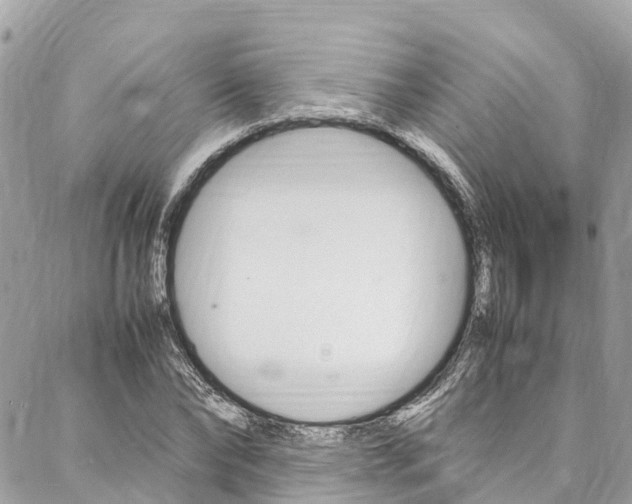 X0000086890878200704161003