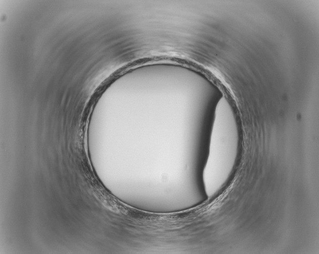 X0000086890879200704161003