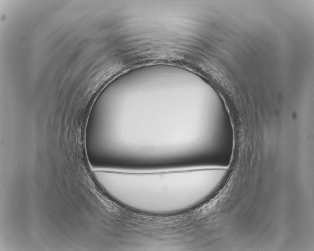 X0000086890881200704161003