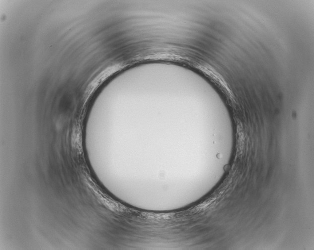 X0000086890882200704161003