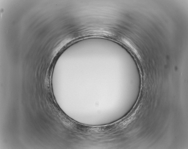 X0000086890883200704161003