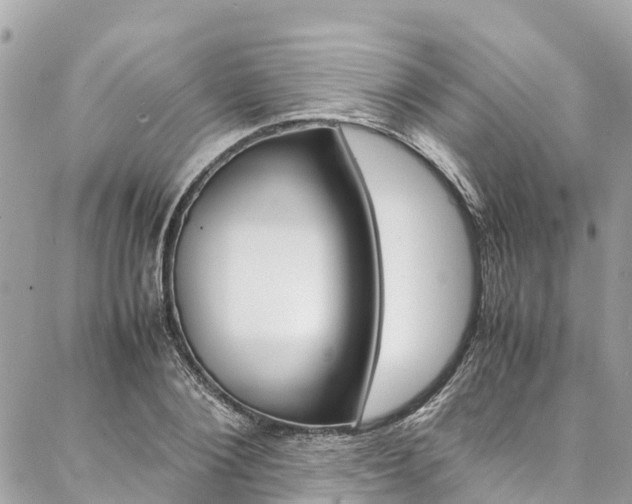 X0000086890884200704161003