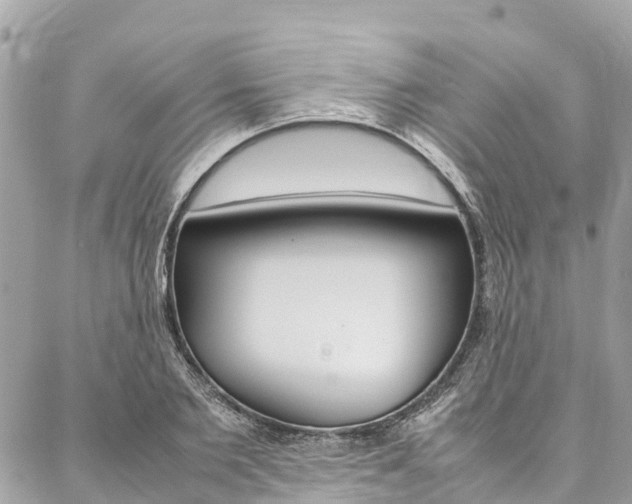 X0000086890885200704161003