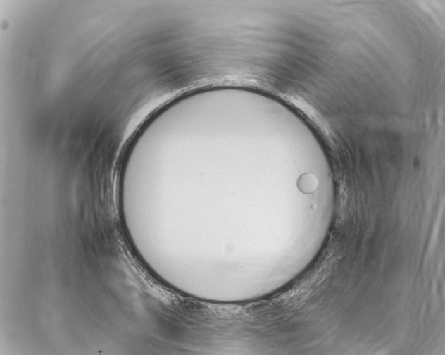 X0000086890886200704161003