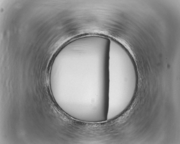 X0000086890887200704161003