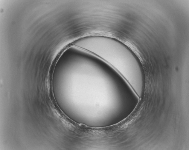 X0000086890888200704161003