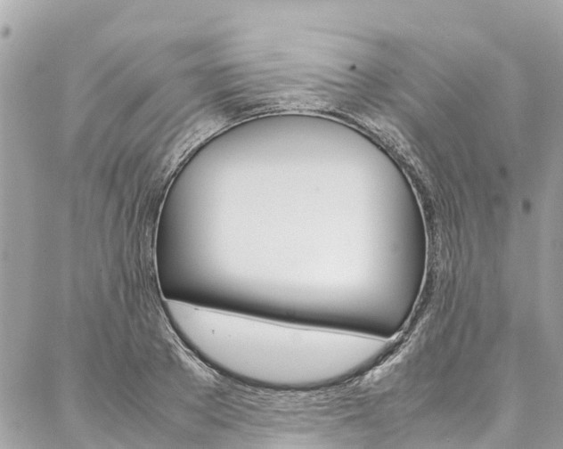 X0000086890889200704161003