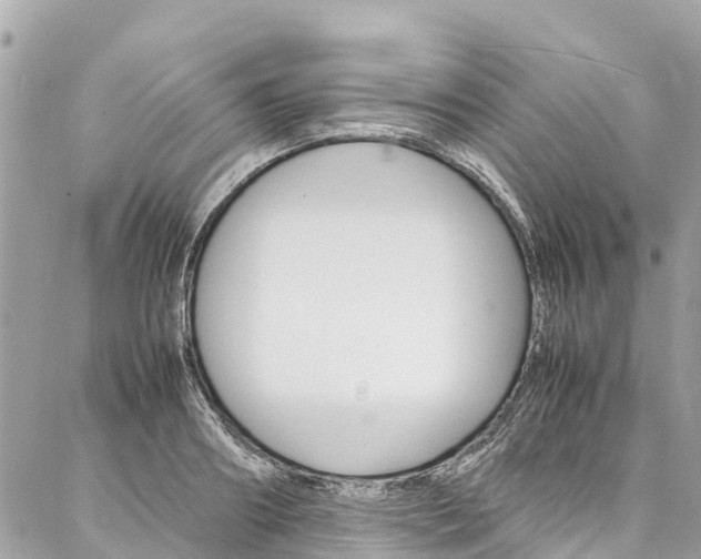 X0000086890890200704161003