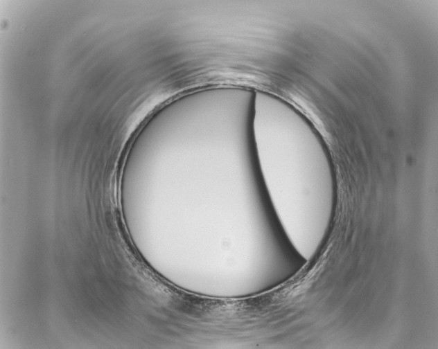 X0000086890891200704161003